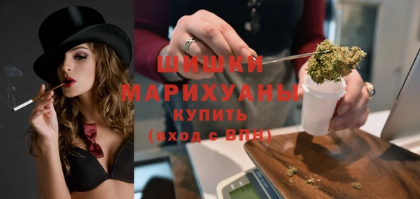 гидра Абаза