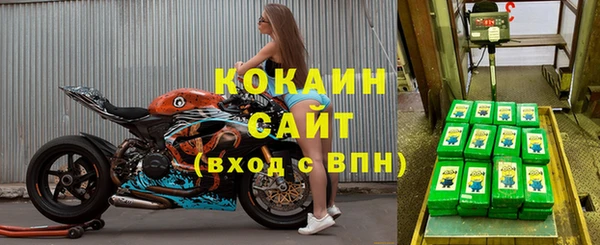 гидра Абаза