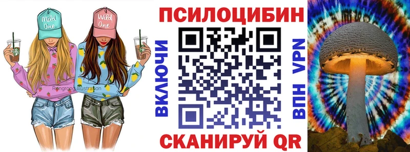 Псилоцибиновые грибы GOLDEN TEACHER  Дивногорск 