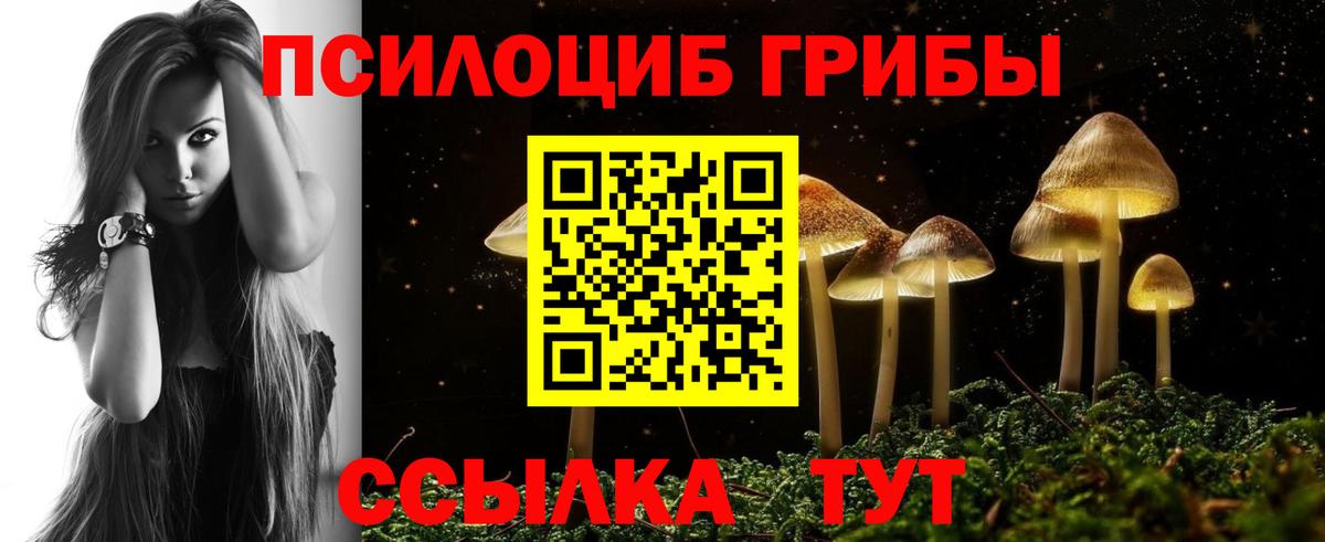 Псилоцибиновые грибы Magic Shrooms  Вход с VPN  Дивногорск  Псилоцибиновые грибы GOLDEN TEACHER 
