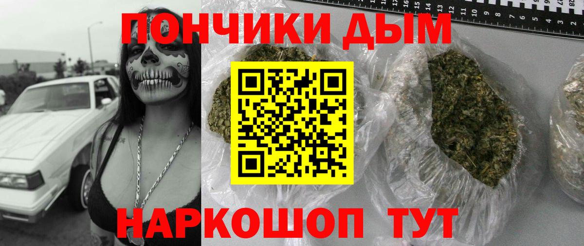 МАРИХУАНА семена Дивногорск